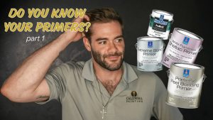 primer picture sherwin williams